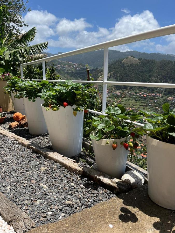 Tropical House Villa Ribeira Brava Exterior photo